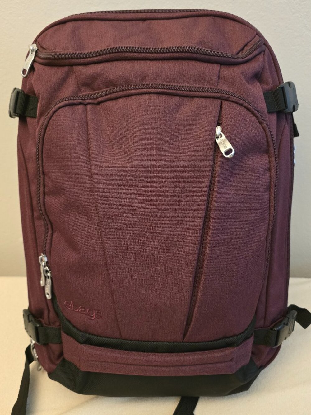 eBags Mother Lode Jr Travel Backpack - Eggplant